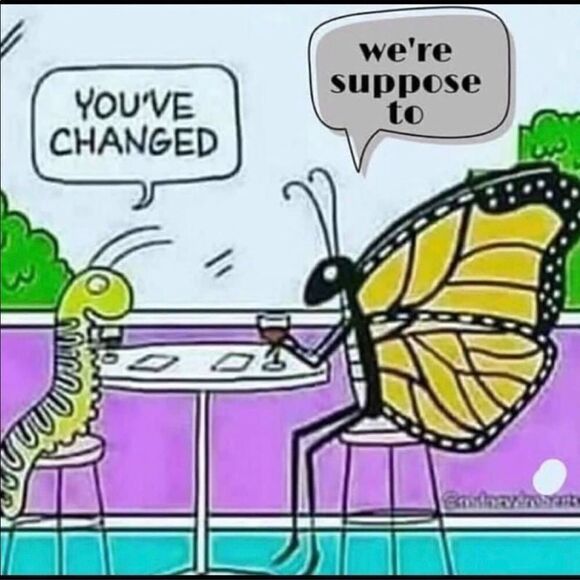 Somäge Glow To Go sealed new adding Ipsy bag - Picture 11 of 13